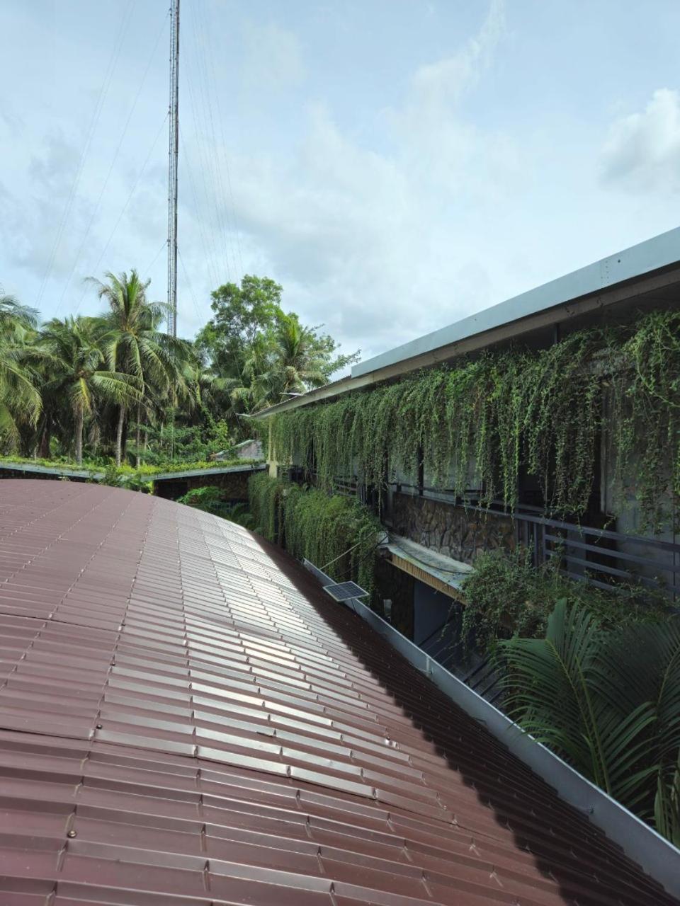 Homestay Bao Binh Ben Tre Esterno foto