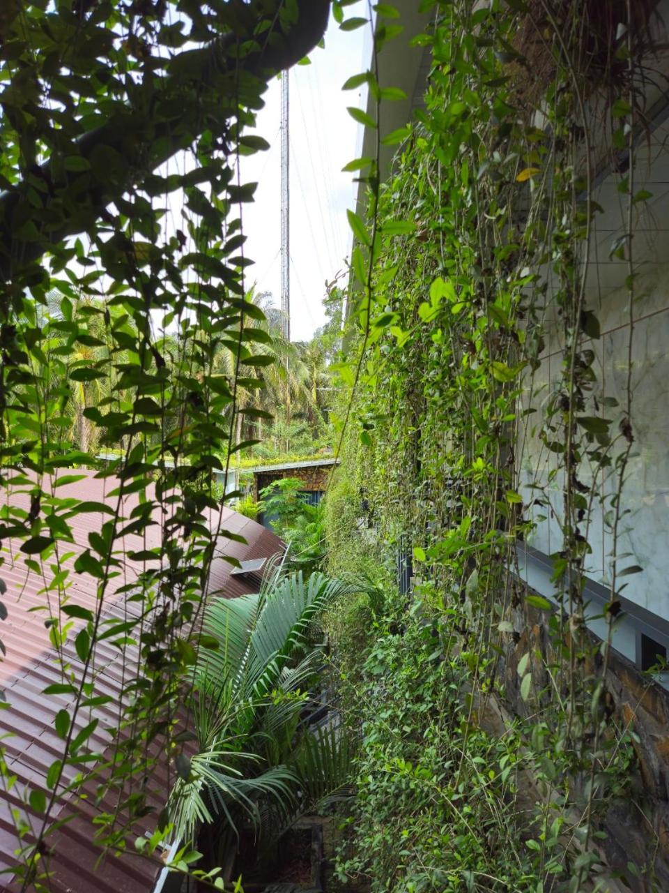 Homestay Bao Binh Ben Tre Esterno foto